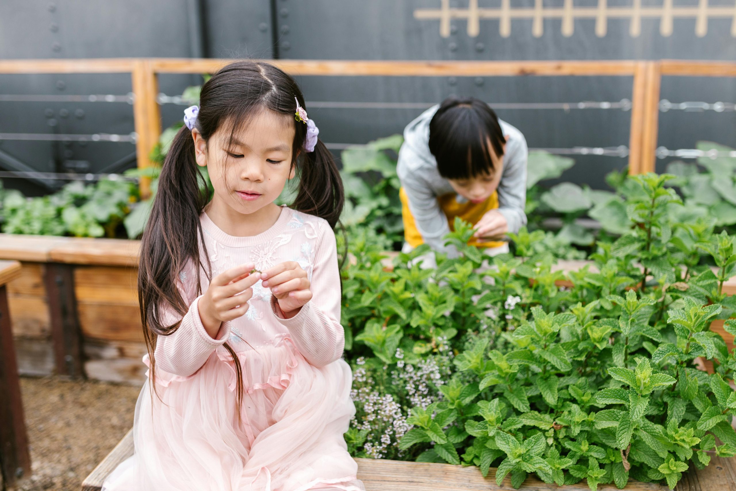 Children Playing in Garden